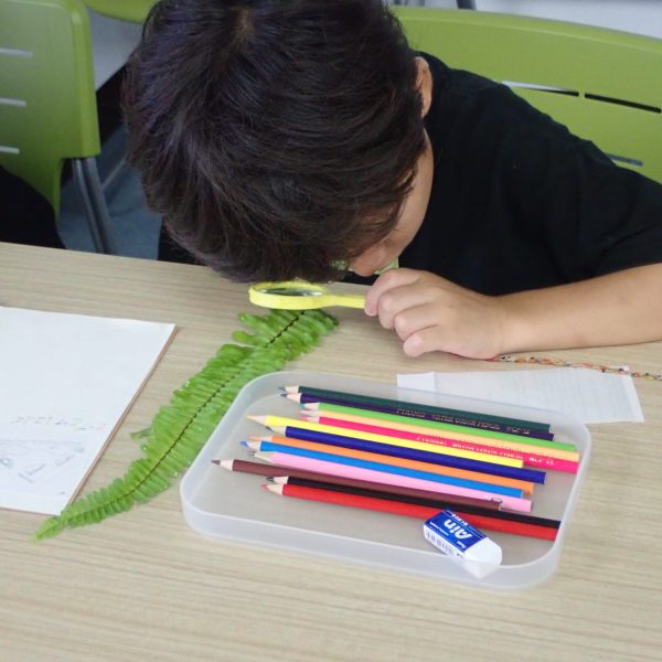 「ジョイナスの植物図鑑づくりワークショップ」を開催しました！
