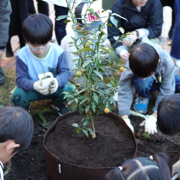「50周年記念植樹＆さつまいも掘り」を開催しました！