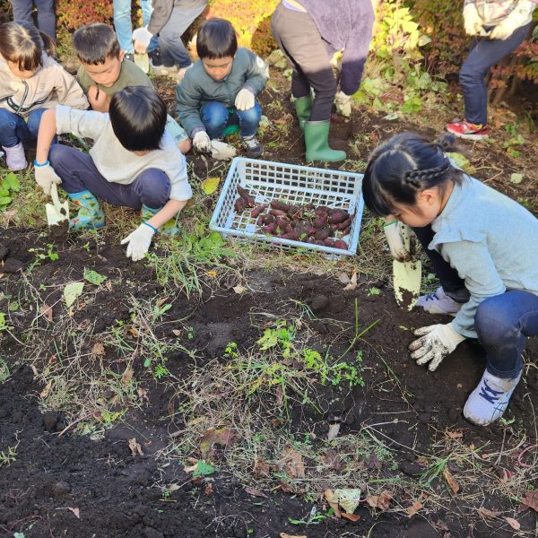 「さつまいも掘り・花壇づくり」を開催しました！