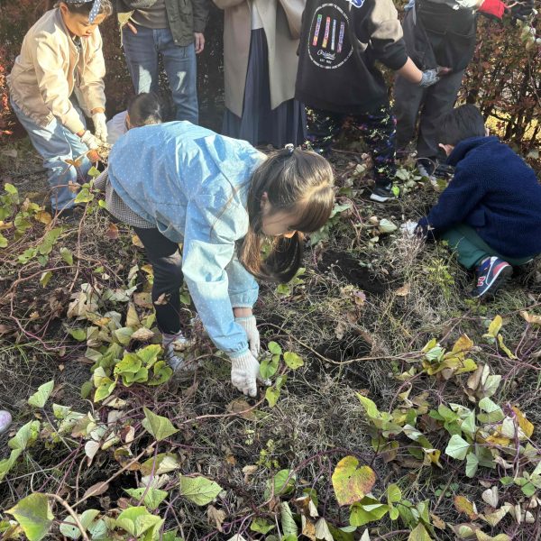 「さつまいも掘り＆ジョイナスの花だんづくり」を開催しました！